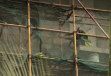 advanced tools for frameworks