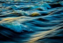 market analysis of stellar