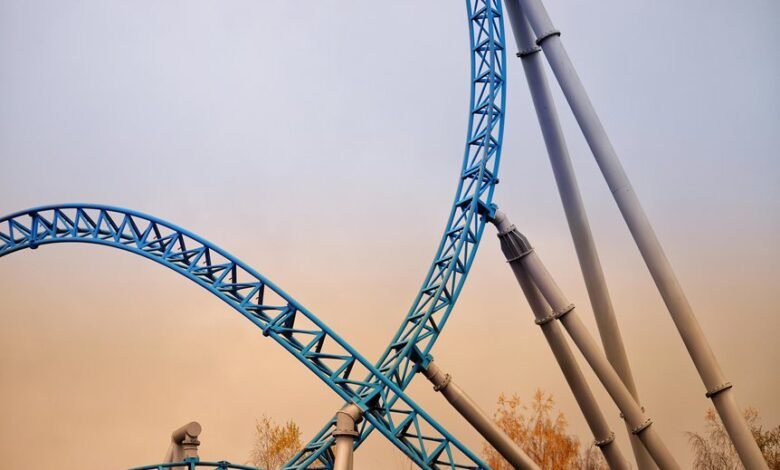 momentum support contact information