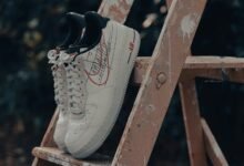 titan flow ladder model